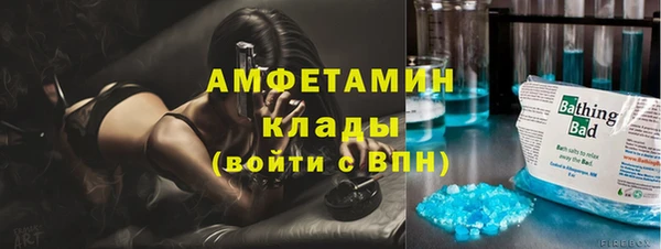 шишки Осташков