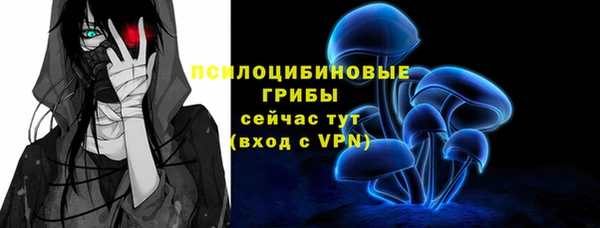 мет Осинники