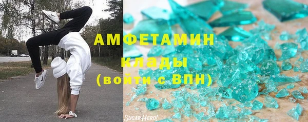 шишки Осташков