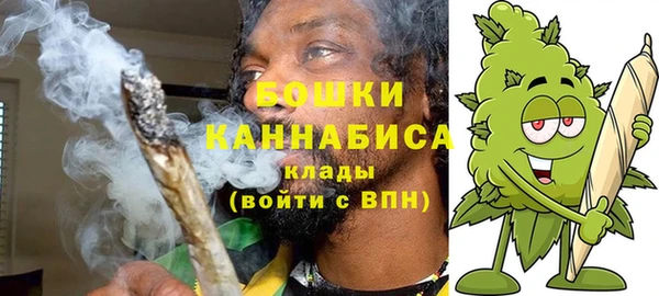 шишки Осташков