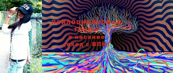шишки Осташков