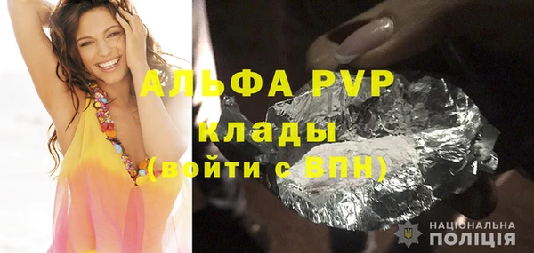 шишки Осташков