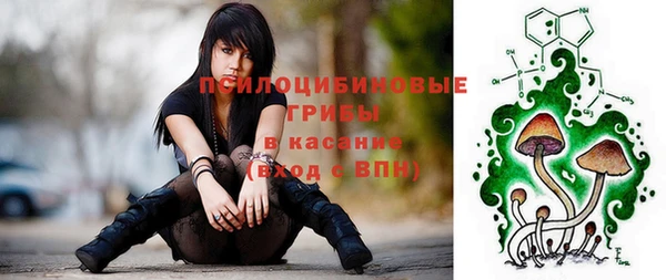 шишки Осташков