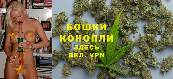 шишки Осташков