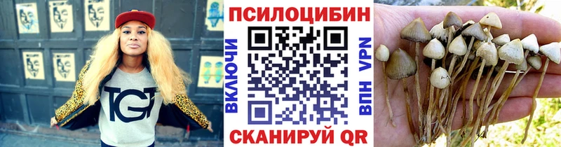 дарнет шоп  Щёкино  Галлюциногенные грибы Cubensis 